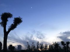 -汉长安城未央宫国家考古遗址公园