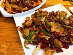 -福苗小骆驼烧烤(太奥广场店)