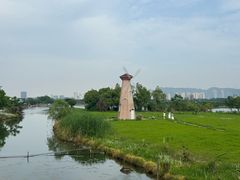 -三垟湿地