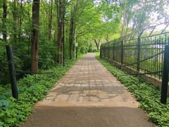 -黑龙江省森林植物园
