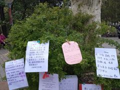 -人民公园-相亲角