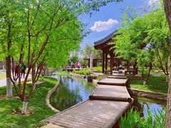 -春风习习