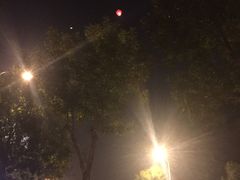-海河游船-永乐码头(大悲院)