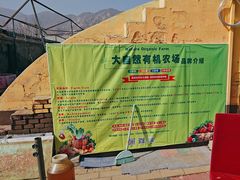 -大自然农场蔬菜草莓采摘园