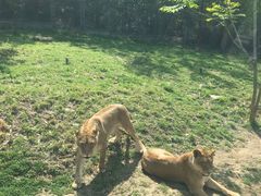 -西安秦岭野生动物园