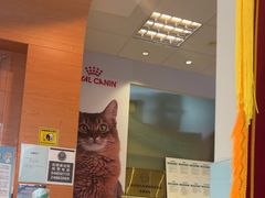 -瑞派申生动物医院·24H夜诊·国际动物医疗中心·骨外科(吴中路店)