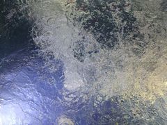 -浅深Cheersum(曹杨店)