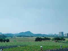 -光明小镇欢乐田园
