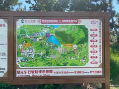 -龙口南山旅游景区