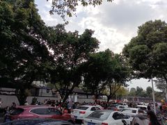 -成飞公园