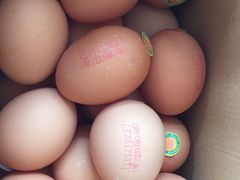 咯咯哒金蛋-咯咯哒自营蛋点(北京街智慧农贸市场店)