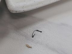 -章氏(车站北路店)