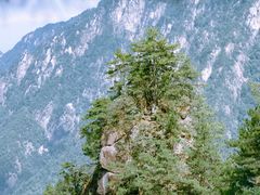 -大明山自然探索公园