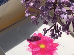 -BON CAKE(华贸购物中心店)