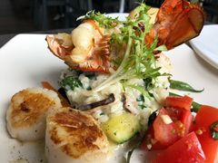 -Fish Hopper