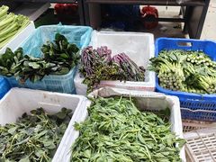 -南京众彩农副产品配送有限公司
