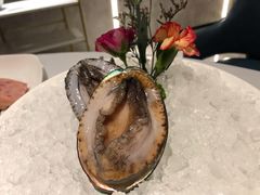 六头鲍鱼-红雀围·海鲜火锅(陆家嘴中心店)