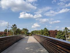 -昆山城市生态森林公园