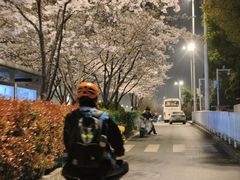 -华中科技大学光谷体育馆