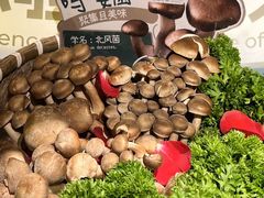 -芸山季·云南山珍菌火锅(人民广场来福士店)