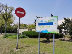 -南汇嘴观海公园