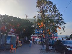 -青澳湾北回归线广场