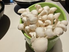 -海月轩海鲜豆捞(紫金塔店)
