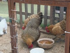 -HERRE·FARM 赫尔露营农场·团建聚会包场