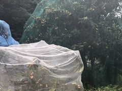 -亮河湾山庄