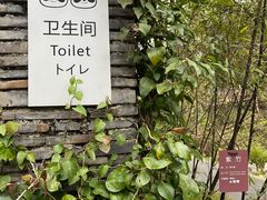 -都江堰中华大熊猫苑