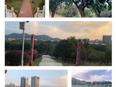 -紫马岭公园
