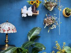 -Golden Lily河内巴黎法越料理餐厅(建国西路店)