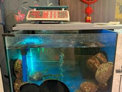 -渔洲情海鲜酒家