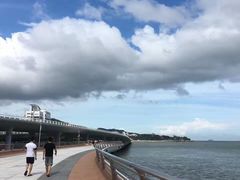 -演武大桥观景平台