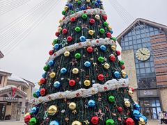 -朴小妹人参鸡汤火锅(长白山万达店)