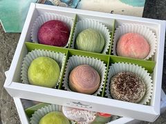 -好一朵茉莉花(老门东店)