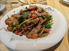 -蛙麻蛙辣炭火蛙锅(南环大街店)