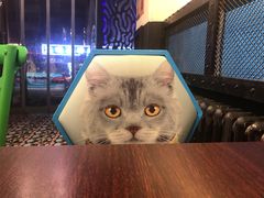 -厨掌柜陆老师(天津之眼店)