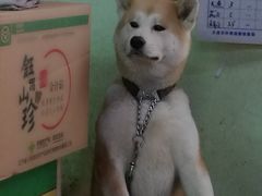 -大连熟食品交易中心
