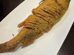 -老牌坊鲁菜名店(聊城美食岛店)
