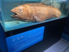 -国家自然博物馆