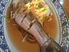 清蒸白水鱼-洞天食府(北大街店)