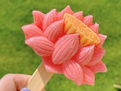 -灵山吉祥颂
