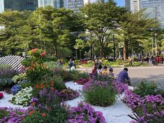 -海心沙亚运公园