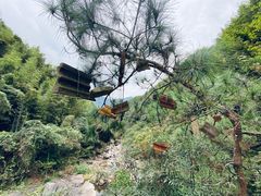 -井空里大峡谷