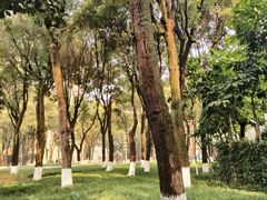 -重庆市江北嘴中央商务区中央公园