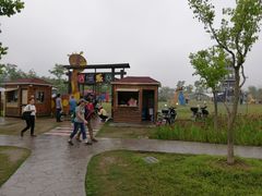 -上海长兴岛郊野公园