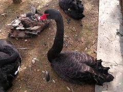 -艾溪湖湿地公园