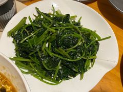 -金子小院