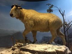 -陕西自然博物馆